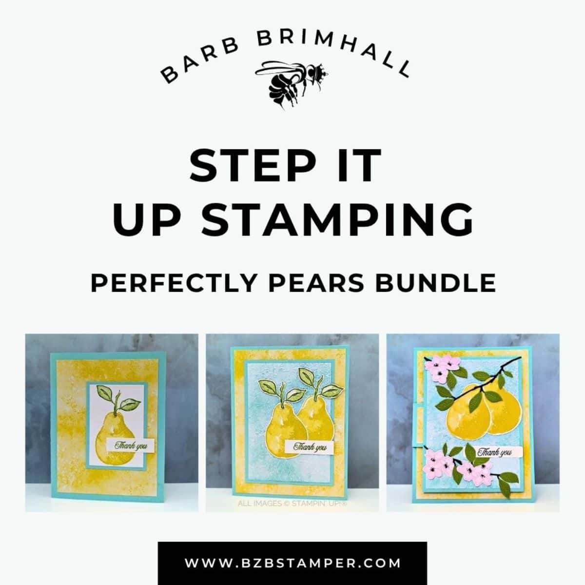 BZBStamper Stampin Up Tutorials