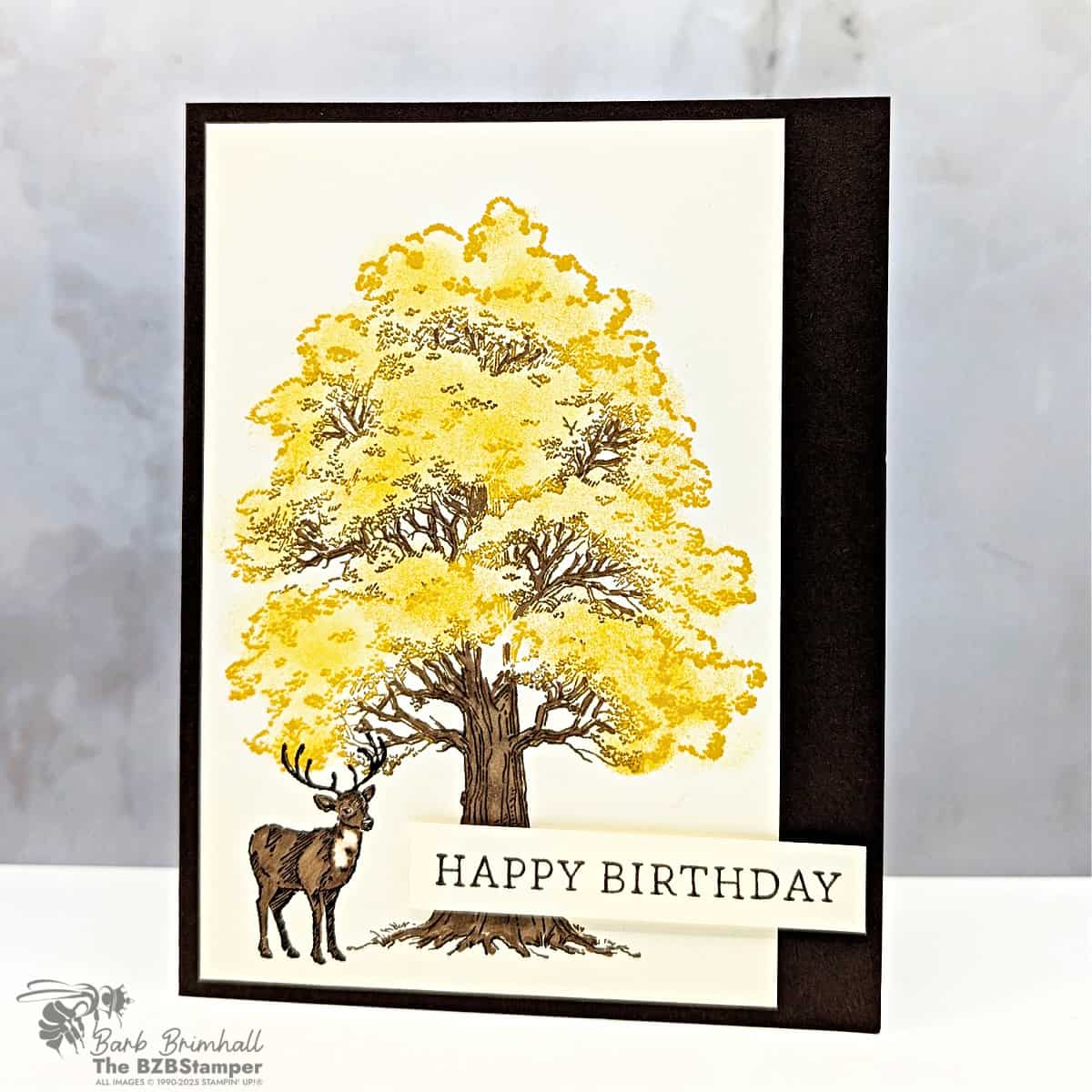 100525 stampin up autumn trees sius 1bb