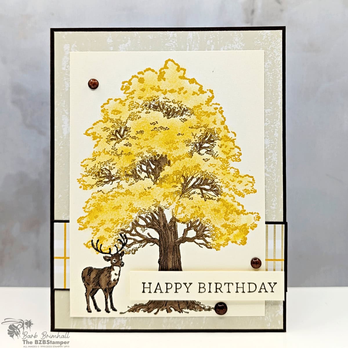 100525 stampin up autumn trees sius 2wb