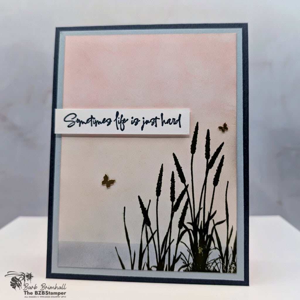 3 Cards Using The Prairie Grass Stamp Set 8 101925 stampin up prairie grass sius wb