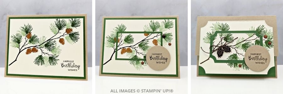 3 cards using the Branching Out Bundle featuring a  birthday cards with pine branches and pinecones, in Crumb Cake, Garden Green, and Early Espresso.  Sentiment is "Happiest Birthday Wishes" on a circle tag.