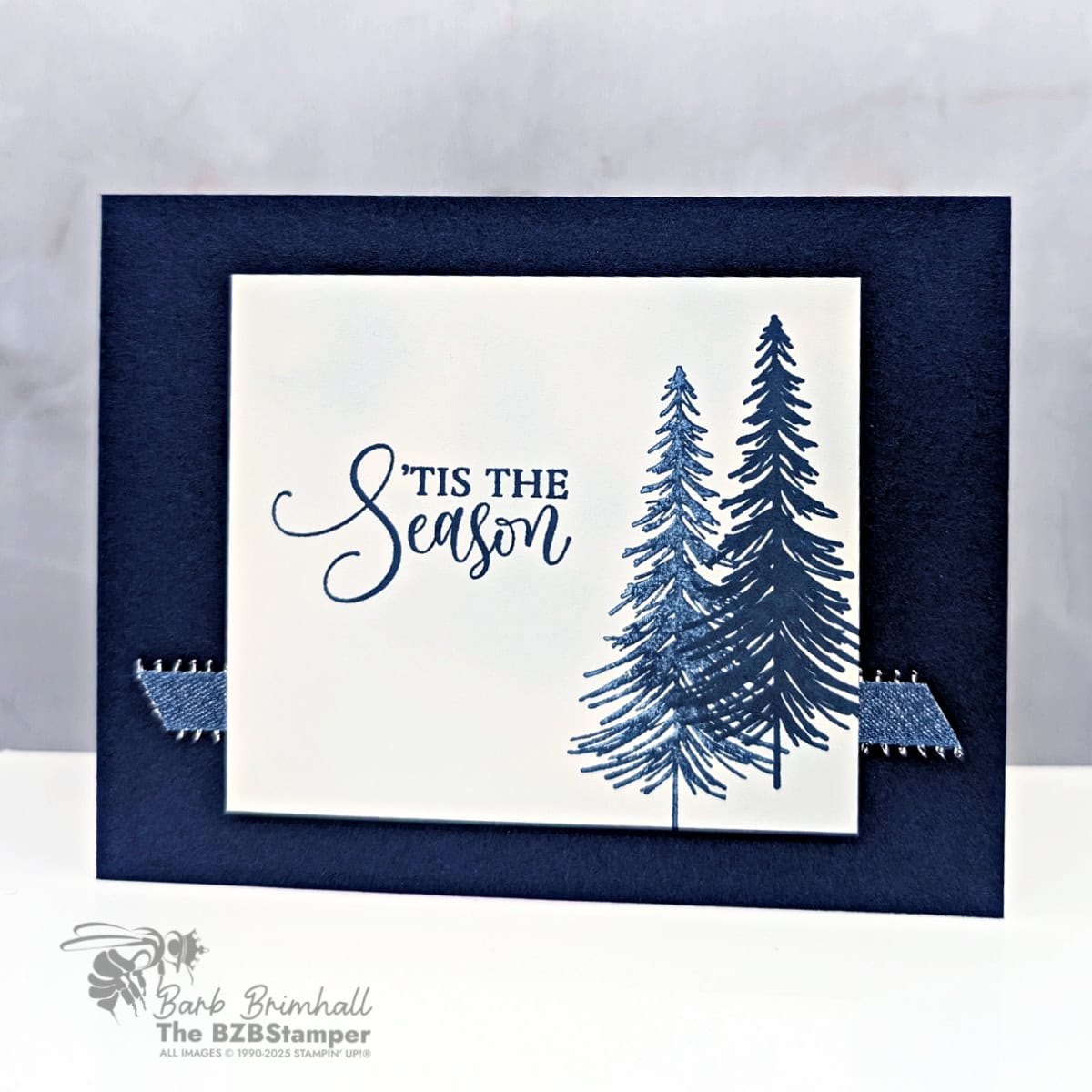 110225 stampin up ornamental christmas sius 1bb