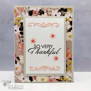 Coffee and a Card with the Delicate Framing Bundle 22 111225 stampin up coffee delicate framing