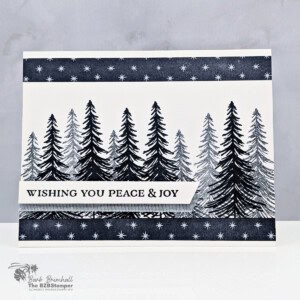 112025 stampin up ornamental christmas 5
