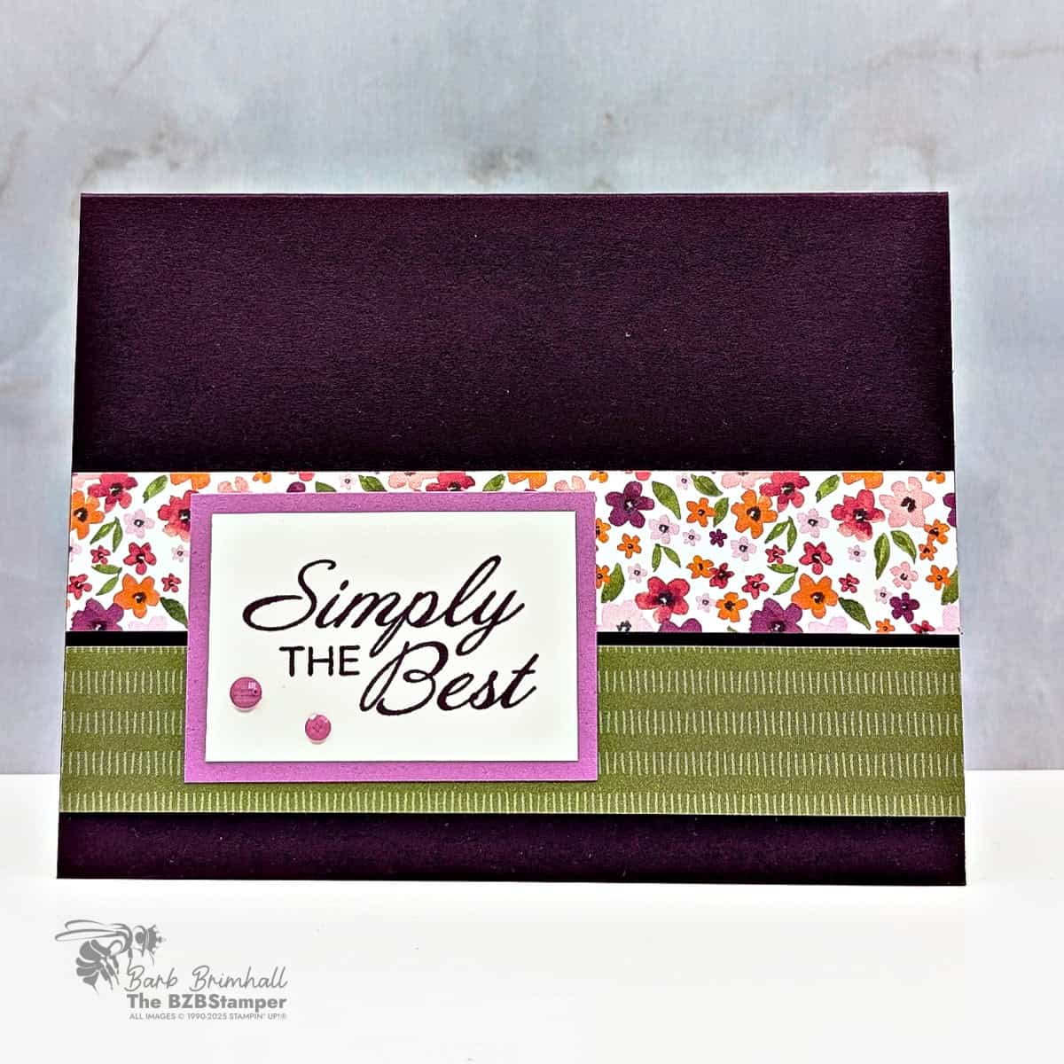 113025 stampin up delicate framing 1bb 1