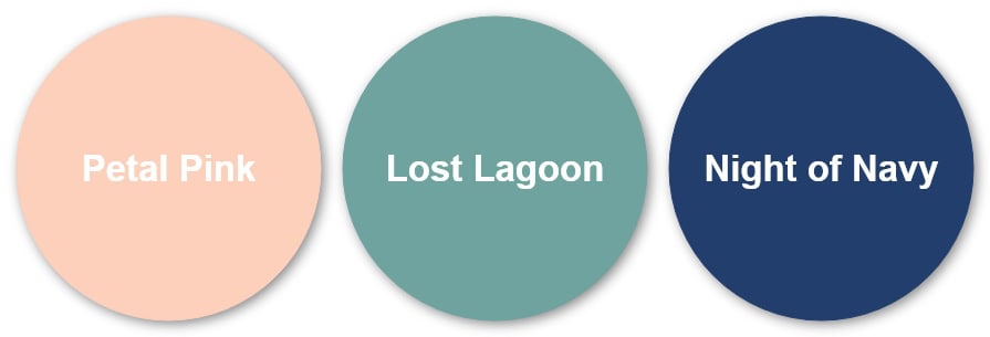 Everyday Beauty Colors