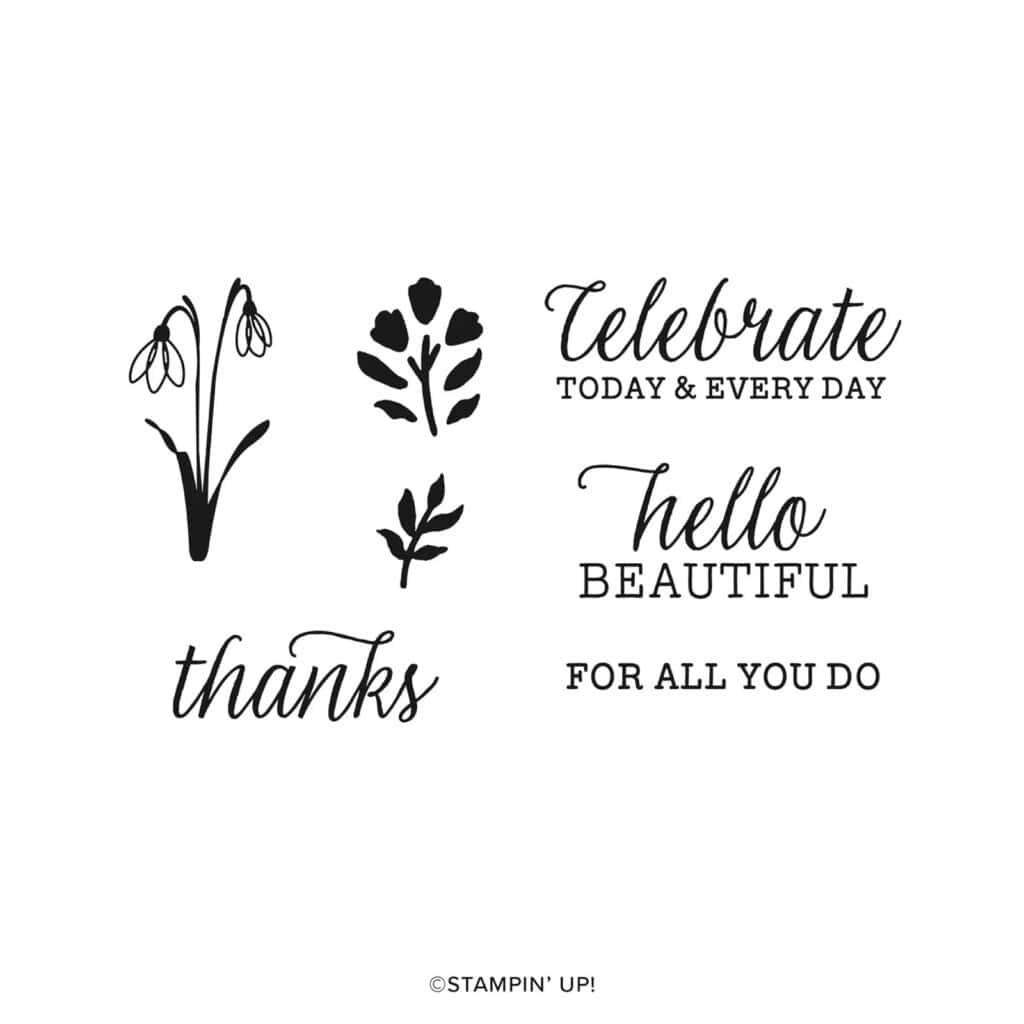 Everyday Beauty Kit 3