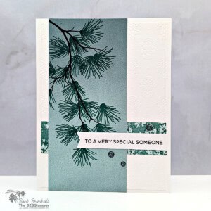 120425 stampin up branching out 1