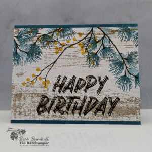 120625 stampin up branching out layered thoughts1