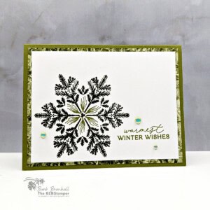 122025 stampin up delicate pines 2