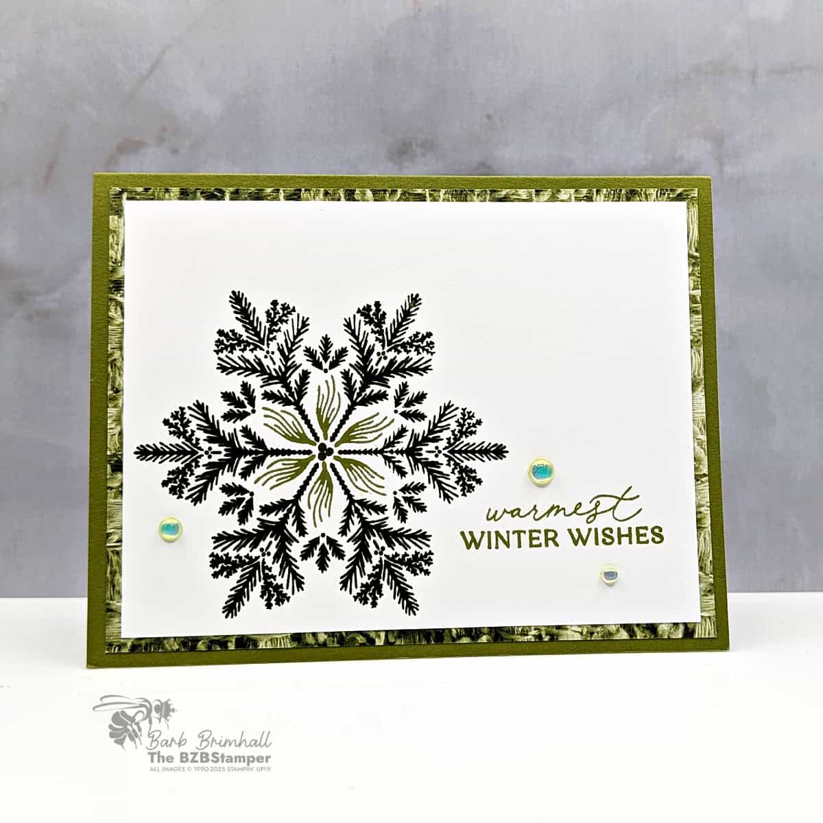 122025 stampin up delicate pines 2