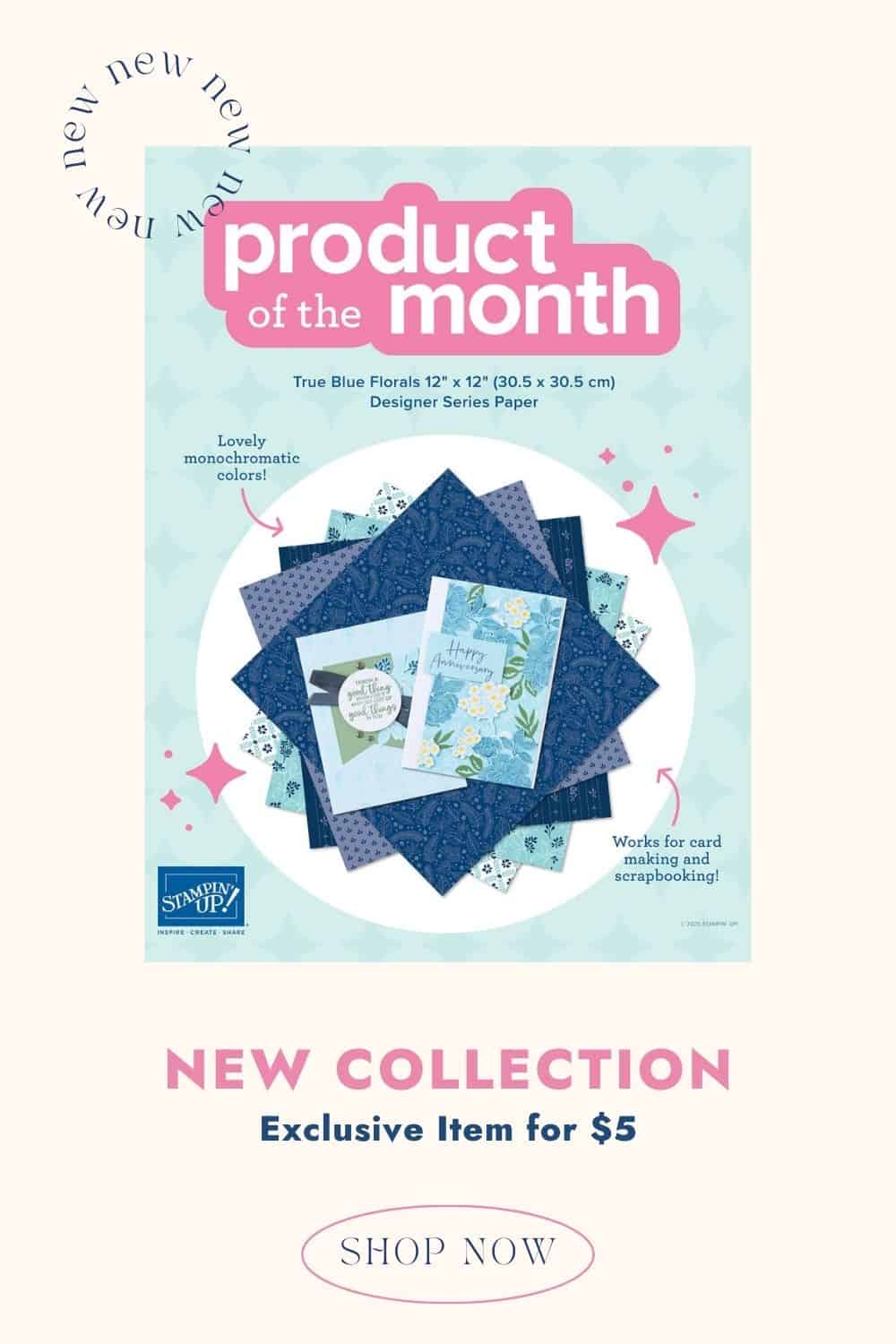 stampin up product of the month pin2
