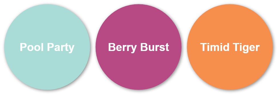 Simple Thank You Card with Flowers Fair Stamp Set 3 041326 Colors