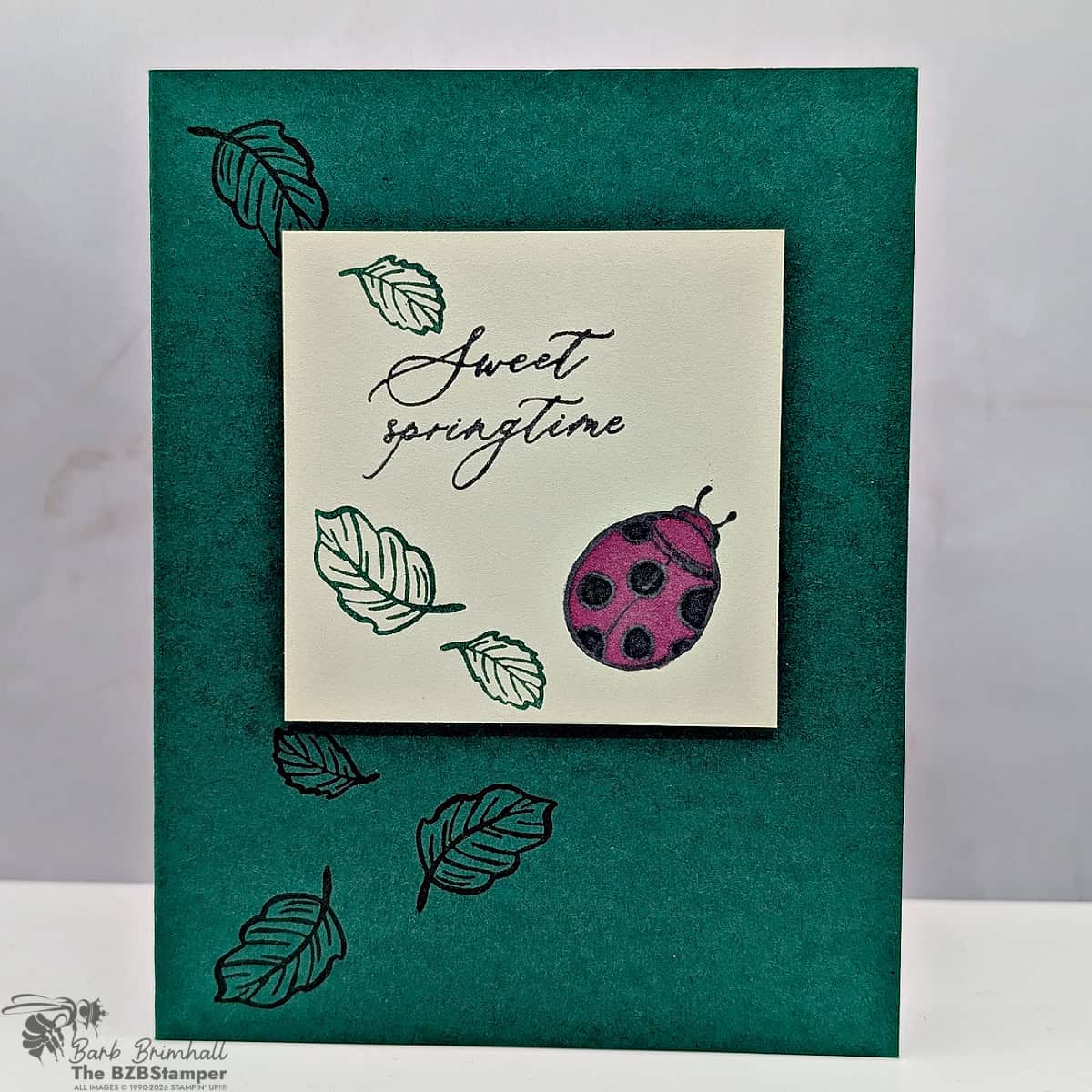042626 stampin up springtime scenes 1bb
