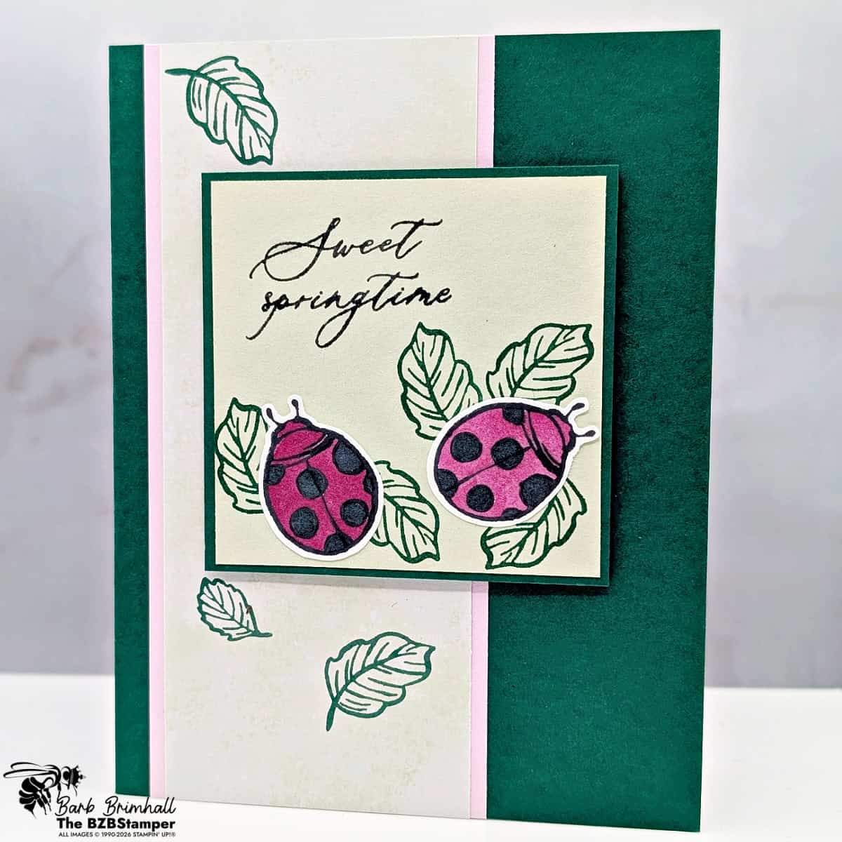 042626 stampin up springtime scenes 2wb