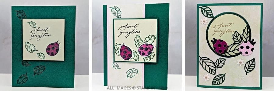 3 Card Ideas using the Springtime Scenes Bundle features handmade card designs using Stampin&rsquo; Up!&reg; Springtime Scenes Bundle with ladybugs and layered details