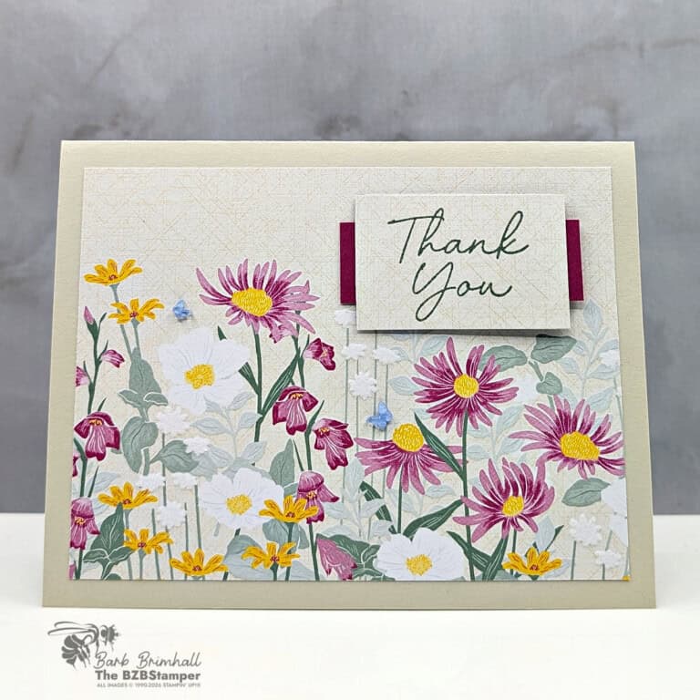 3 Cards using the Scalloped Blooms Bundle