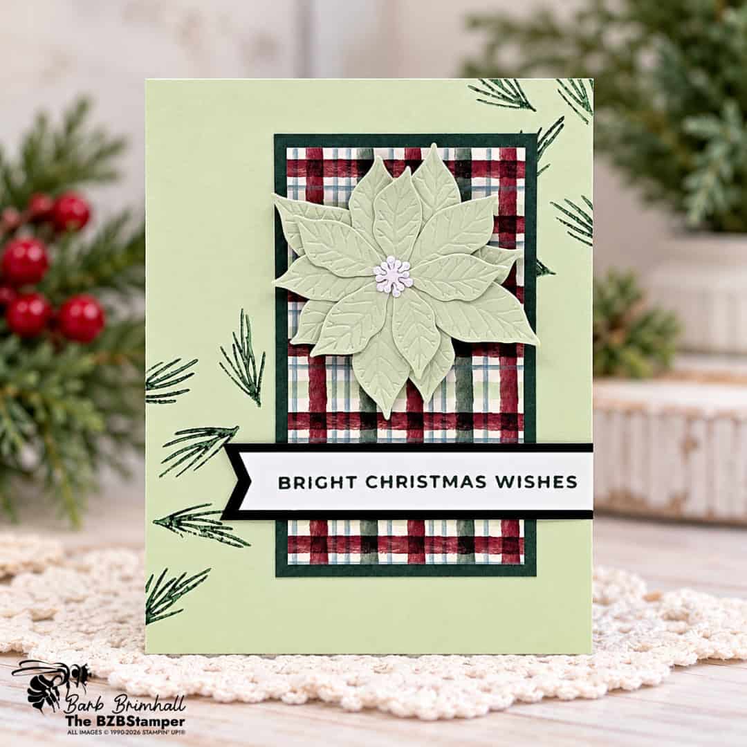 1002 Pretty Poinsettia featured