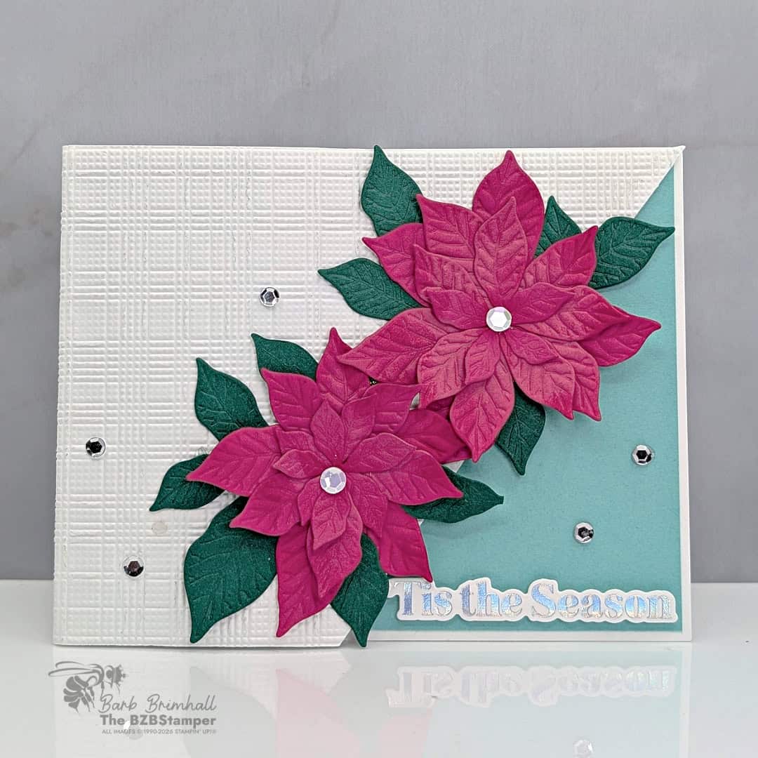 3 cards pretty poinsettia sius 3qb
